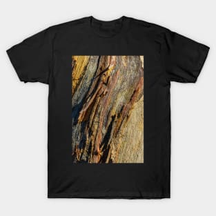 Bark CR02 T-Shirt